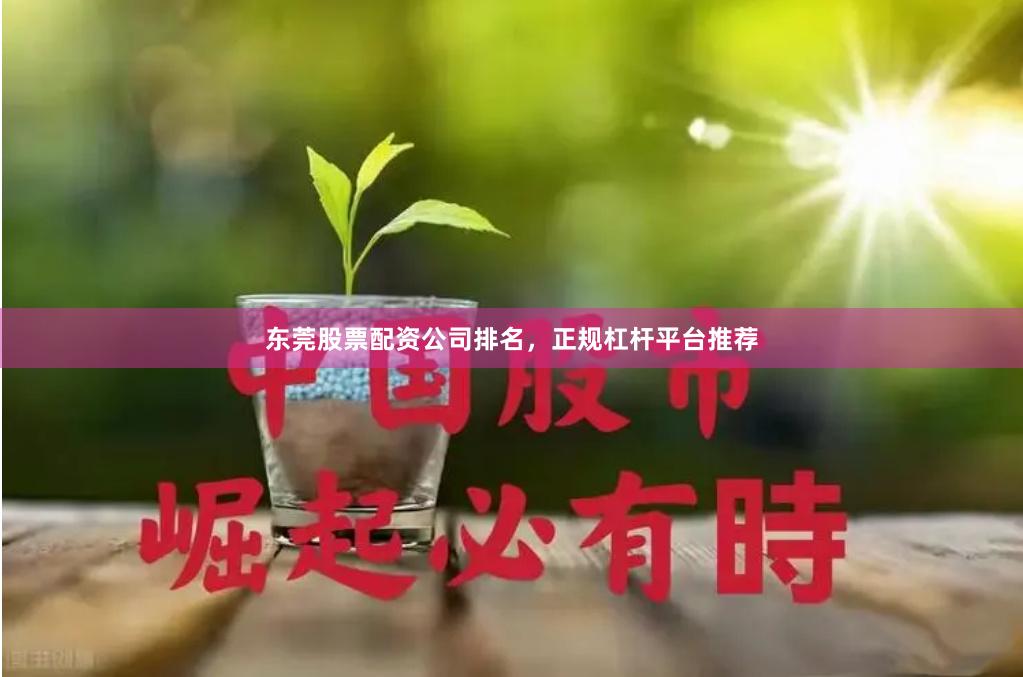 东莞股票配资公司排名，正规杠杆平台推荐