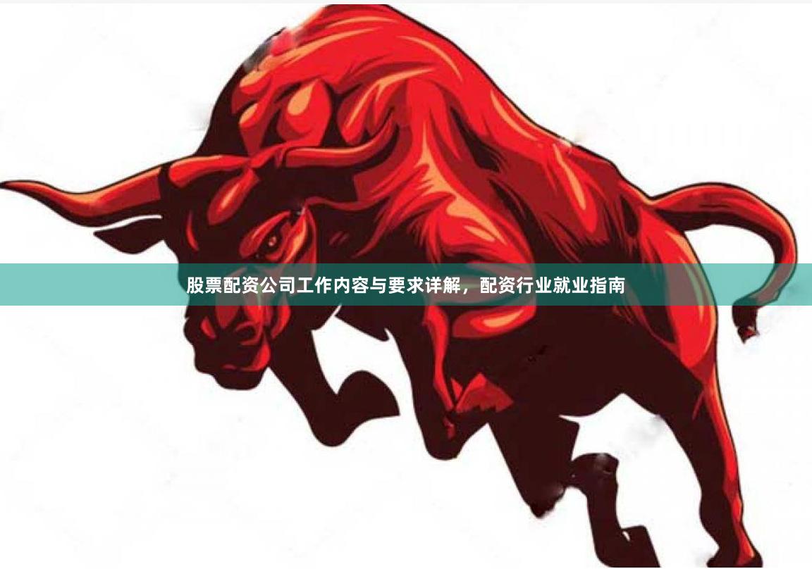 股票配资公司工作内容与要求详解，配资行业就业指南